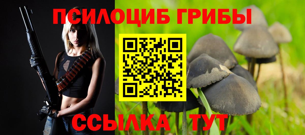 Псилоцибиновые грибы мухоморы Тельмана
